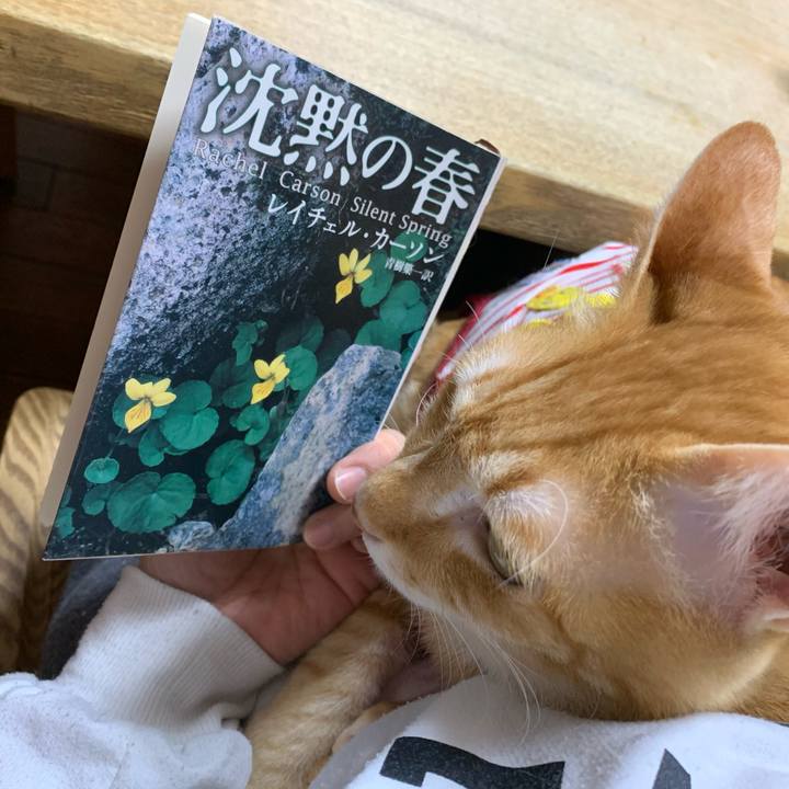 C5c432b6 ad64 4bf5 8301 7fc08f0bfd82 1585053647456