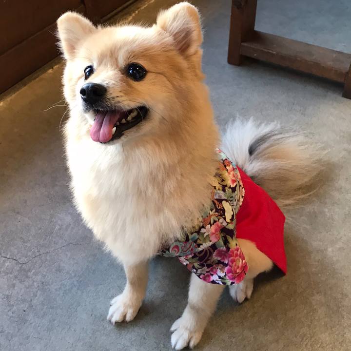 C5c4f994 d78e 4e22 b77b a8a758ee2654 1610343553611