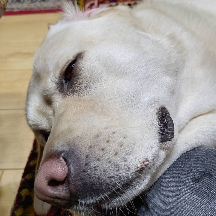 C5c4fb09 abdc 4644 8450 ee81fe65e1dd 1596020969344