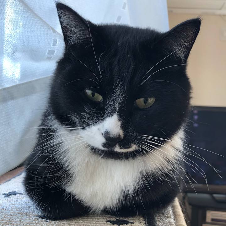 C5c518a0 d781 48a6 a802 f7261bddc619 1610594513937