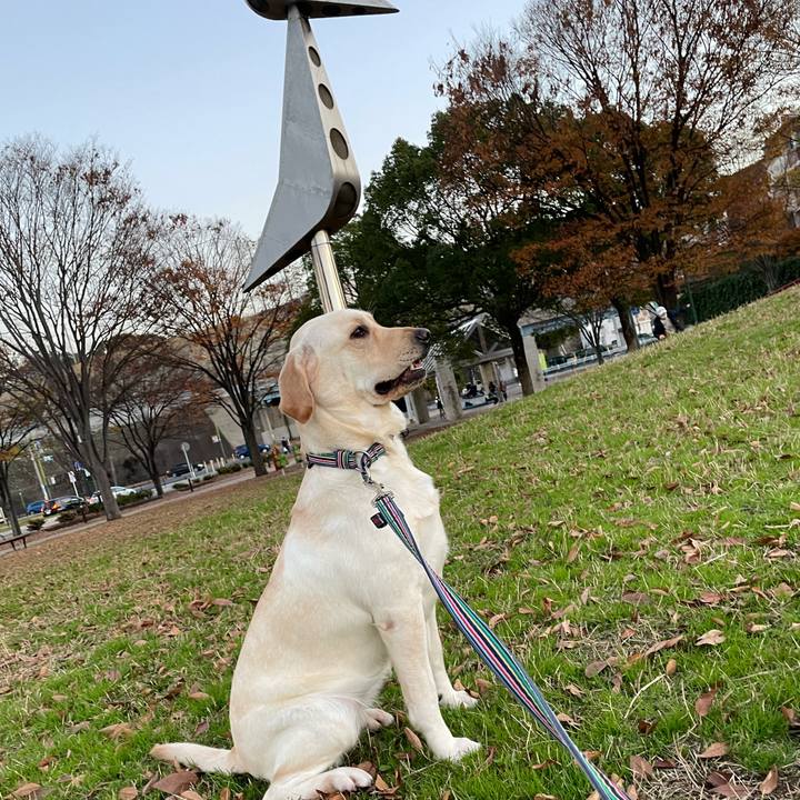 C5c52097 21dd 4c71 9af2 5ebd8835e9ca 1670575234947