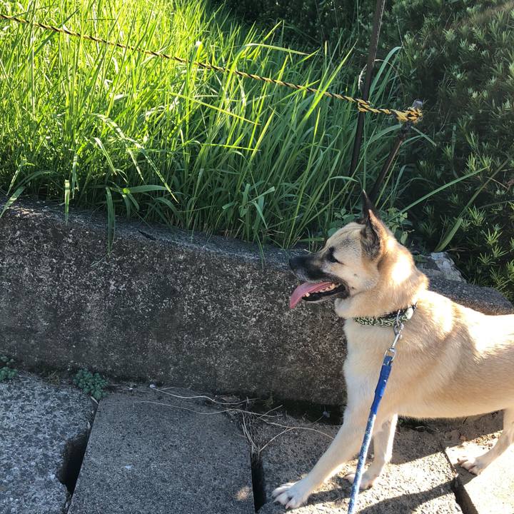 C5c53c89 d357 4122 82b2 7a3c48e27dd8 1597493166140