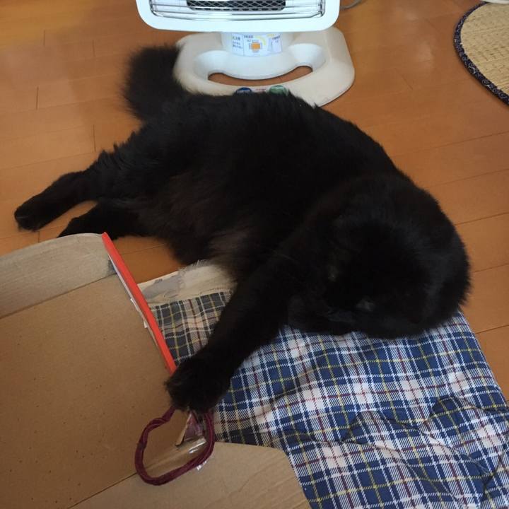 C5c5492a c3c4 4540 8504 6b0383d86edf 1508146387971