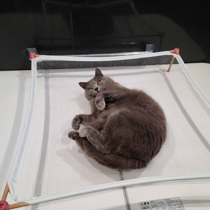 C5c5cb74 a58a 4131 addf 32f4ff13aa1f 1620894297081