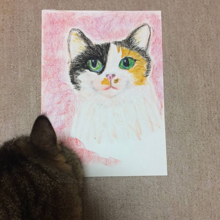 C5c5cdf5 e9f8 4def 903b fc5bddf02855 1609676391436