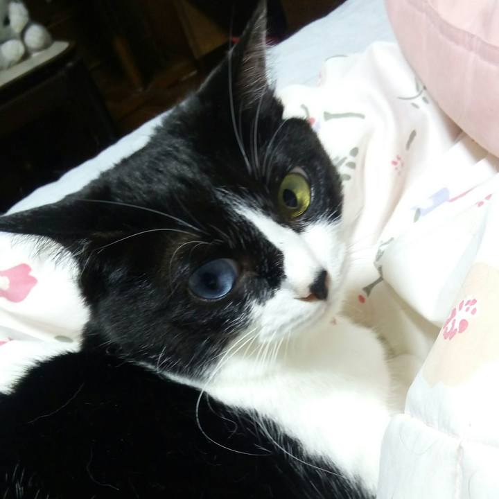 C5c5d218 385e 4910 a5bb 0912f17ba05a 1528895355534