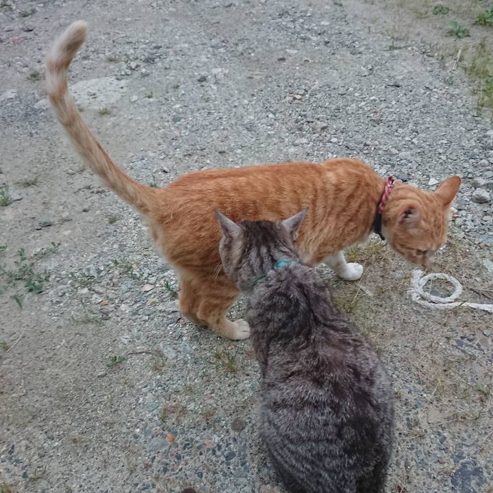 C5c5d785 d20d 465e a539 6465099913c6 1561111428875