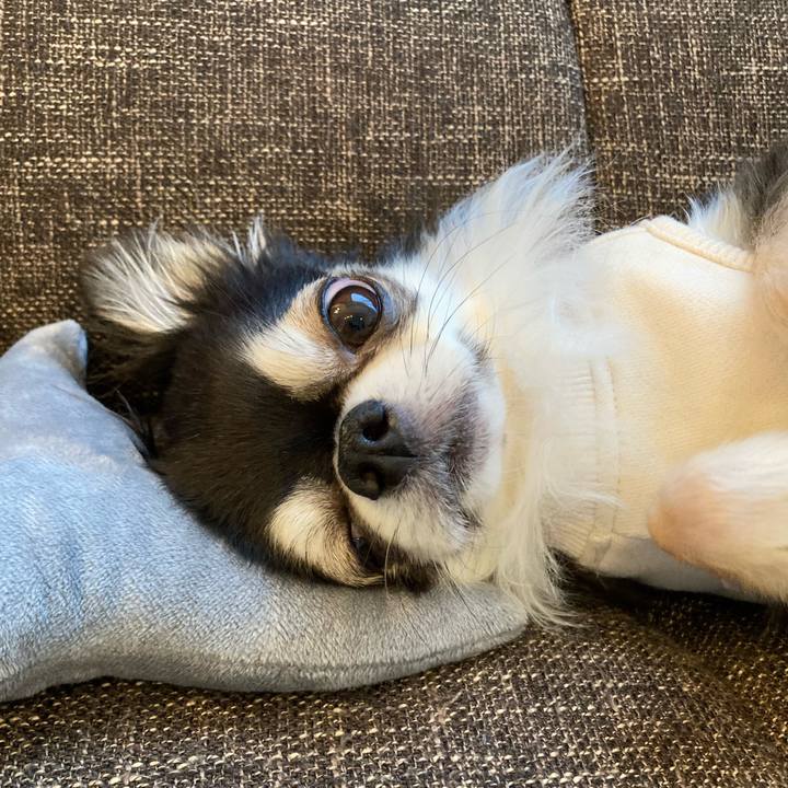 C5c62ec9 cd0b 4d64 948b 941445b9f249 1709450542247