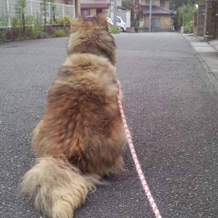 C5c641ce b9f0 4224 97f0 3564910ae0ae 1586150593687