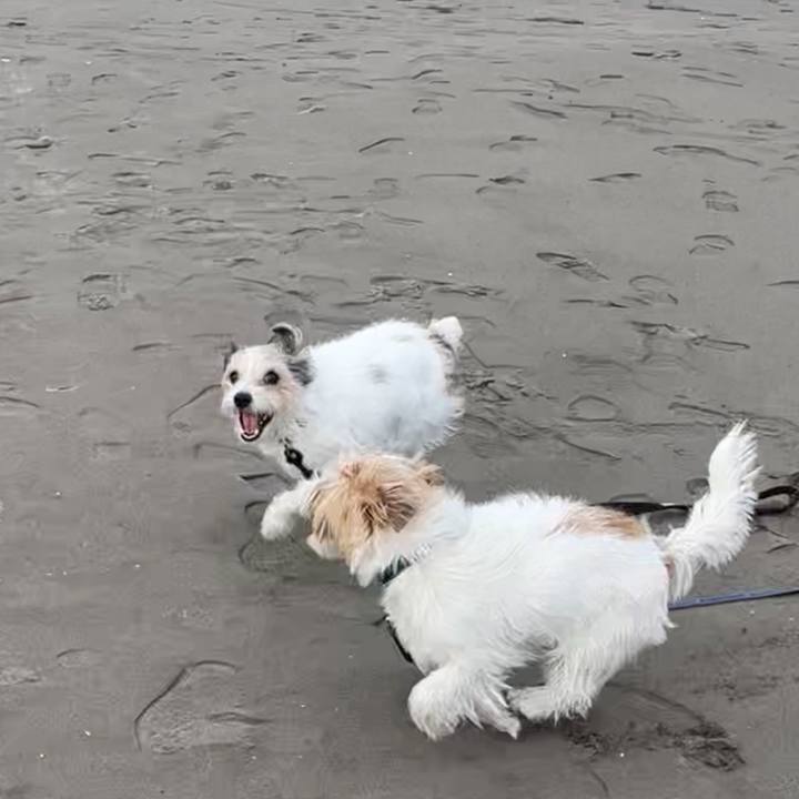 C5c65261 c280 4f7a 9a14 fbe4999b9e70 1771768325055