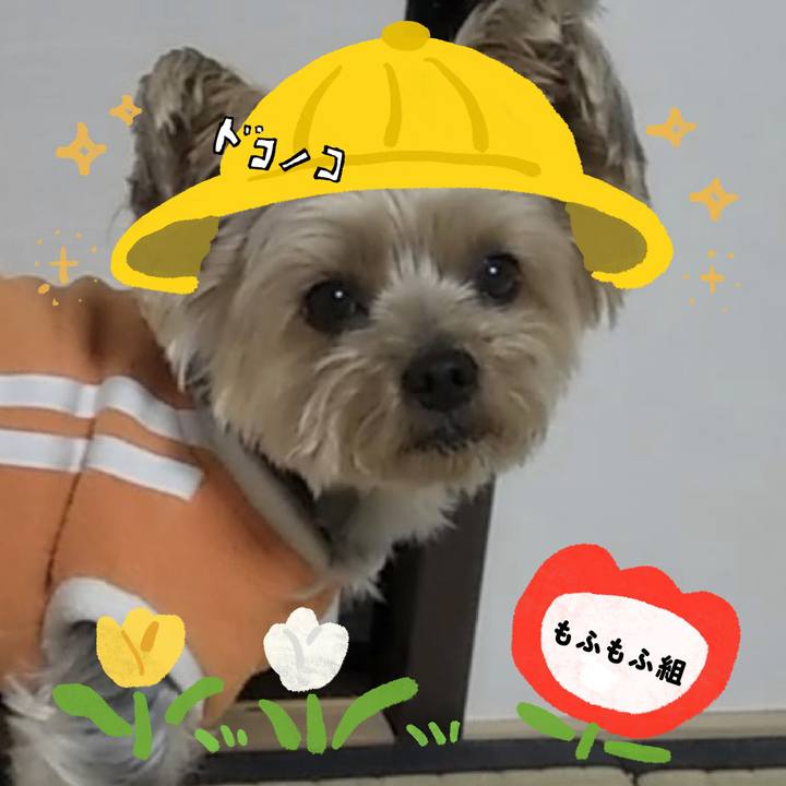 C5c67e5c 1b1f 4145 acbc 937b7a42f1eb 1712238832633