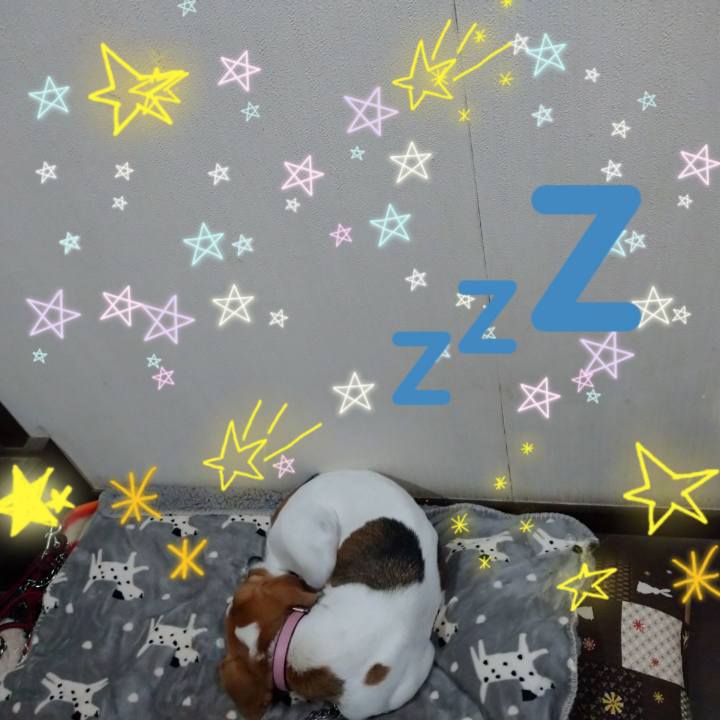 C5c6c49b ed41 4336 a5f3 2d72800ed5cb 1580822723104