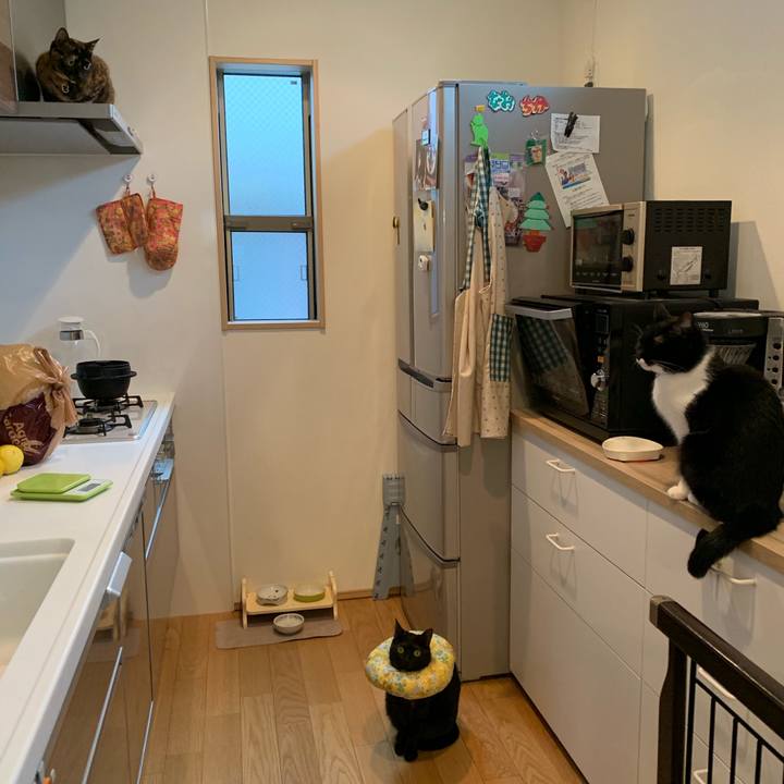 C5c6d385 7b77 4535 9705 2d8fb9fe4253 1550623179457