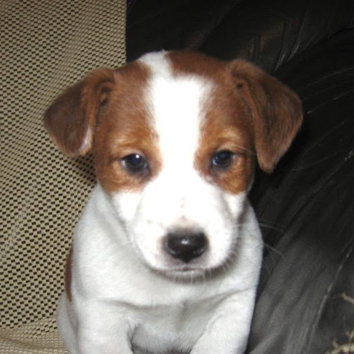 C5c6d438 1cff 4d76 949b 2e4370c41985 1769670941701