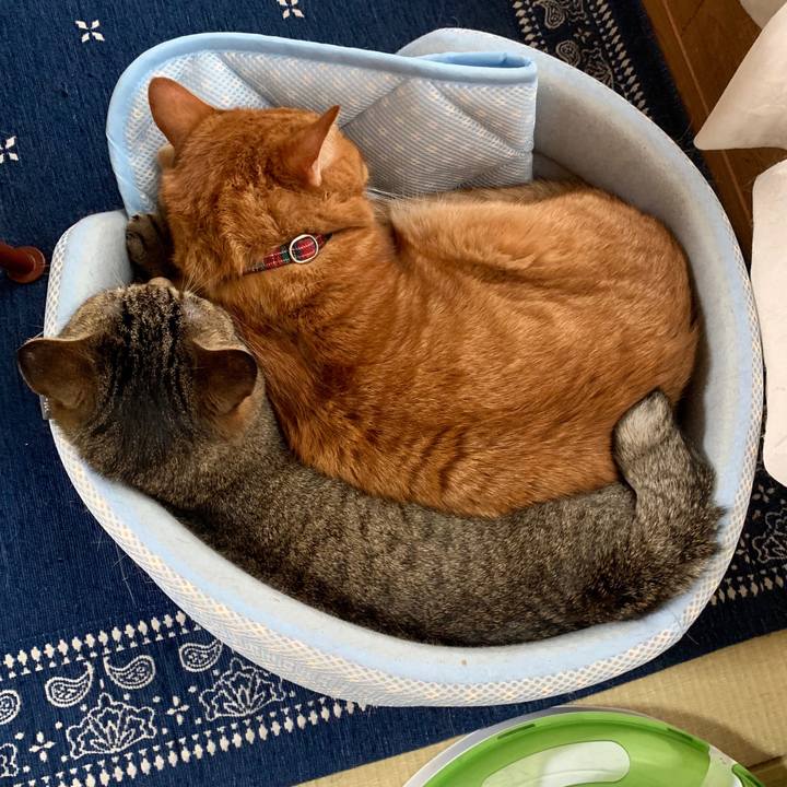 C5c71905 8b60 4f1c ae46 e9e8566a8713 1562748194176