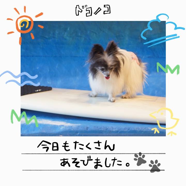 C5c71aff 0630 480c 9ce7 6eb753cef8e5 1755478774906