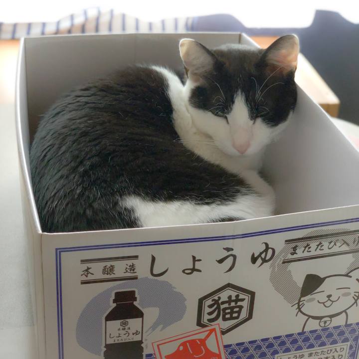 C5c7242e f4fd 48b4 bf60 216dbe9d955c 1559094639729