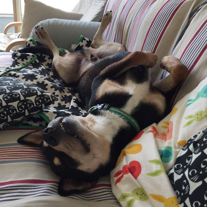 C5c72b8d 3433 48d5 971a 320a71448b84 1538449842592