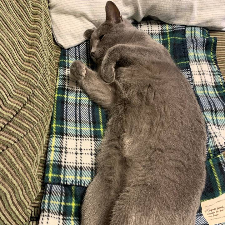 C5c73134 a087 4e31 a7c1 29bad5bcdae5 1585618203801