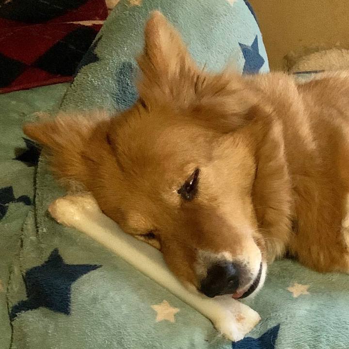 C5c7b5af 8976 4248 a2f5 9756f8a4c403 1585443067255