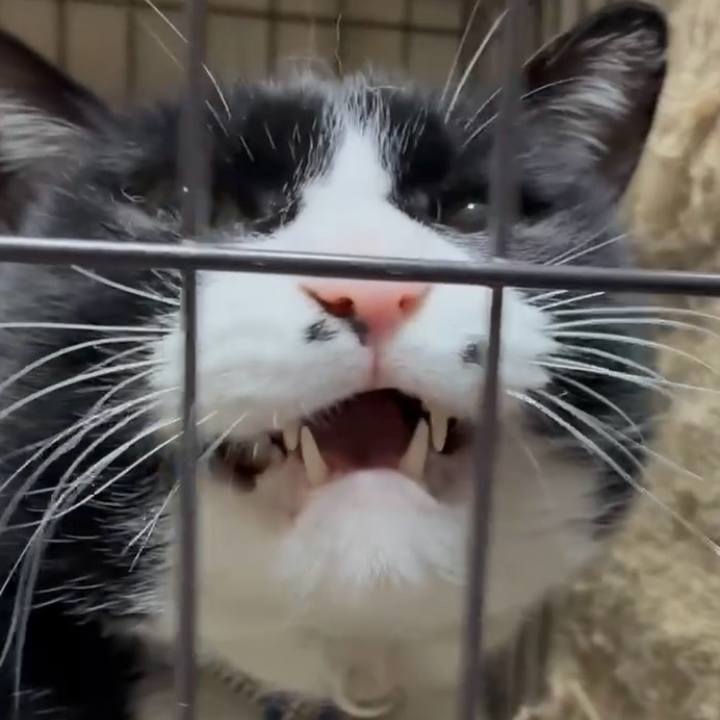 C5c8220b 53d7 47ac 9a56 e045d35b80fe 1770732956573