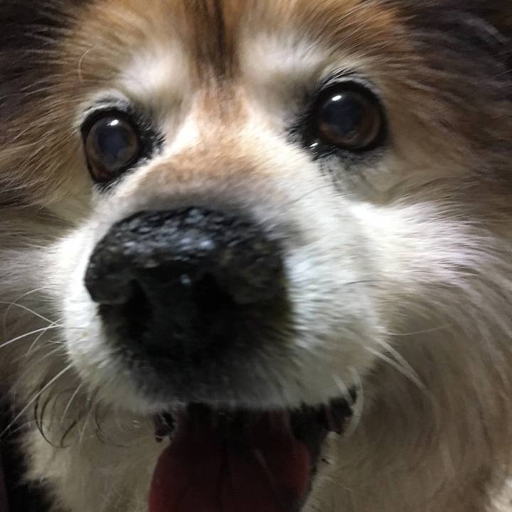 C5c83700 c795 4700 b590 76269a92a535 1578552375583