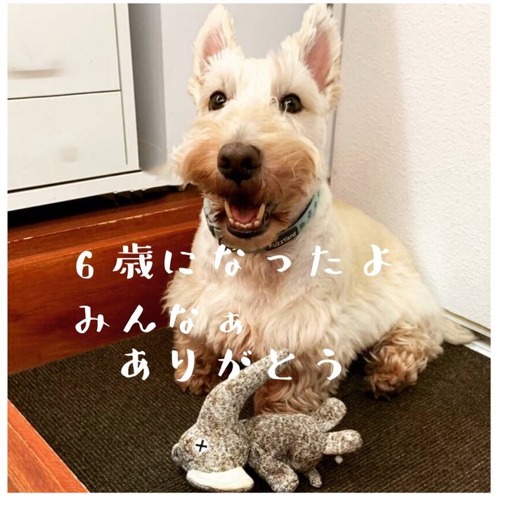 C5c83df4 a787 43d6 b584 1132222e5104 1577550649959