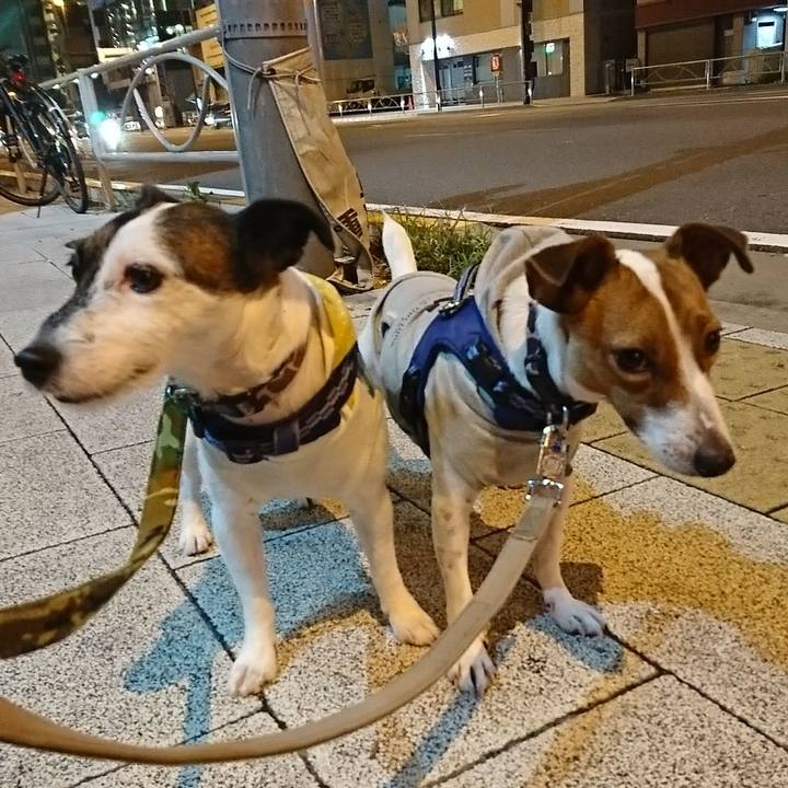 C5c847e7 f4fa 4047 b79b a80d4119bce3 1535973569983