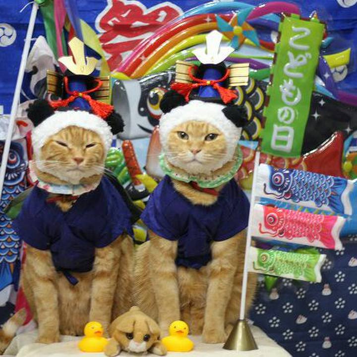 C5c84e77 79ba 4eee 9d9e 9b00c31bfaca 1524239355208