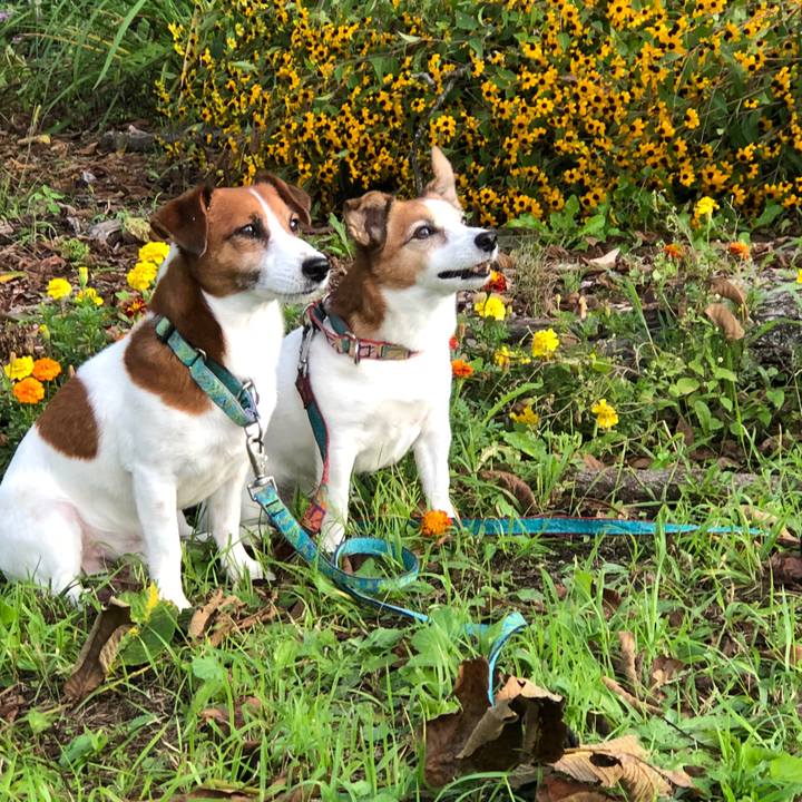 C5c86699 21e2 4843 b4a4 d4fb7f9a236c 1538449907267