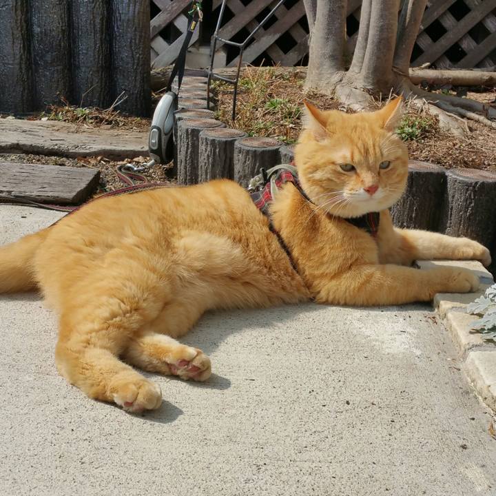 C5c88249 3c54 4f58 8aa9 7d41b260ac6b 1551756530858