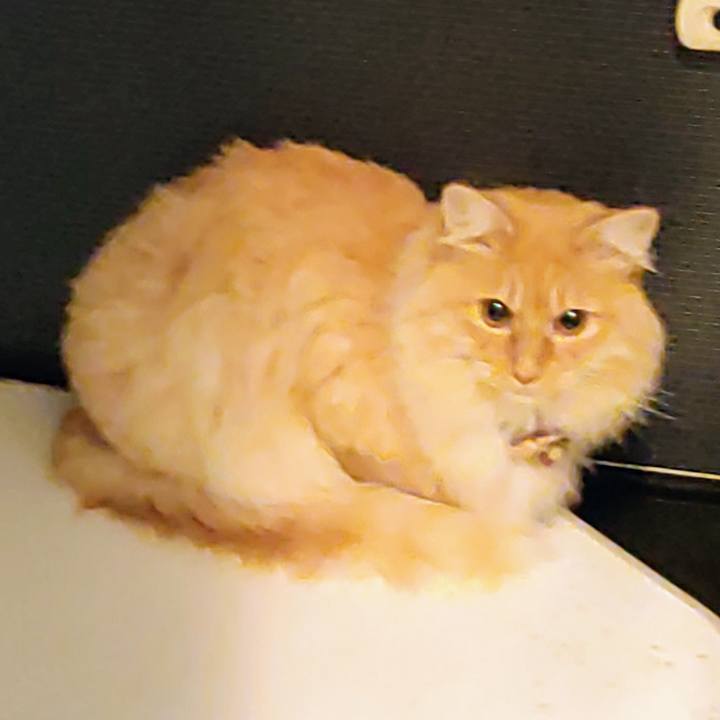 C5c890ea 2664 4ed4 9601 828510b3fb7f 1672870476240