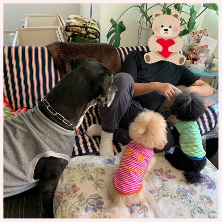 C5c8bbca 78d3 4353 9ff1 5b759651bb7a 1587779155458