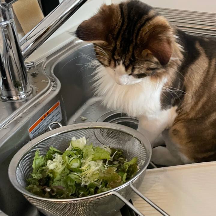 C5c9000d 4ec8 4851 97d3 2e59030b5291 1659826872104