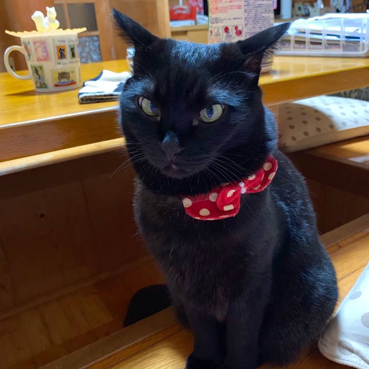 C5c9061f a026 48cd 9103 916135d8dd5a 1568290311437