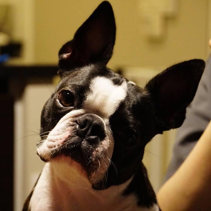 C5c90f0e 12ea 4129 b62b fc3ac9bcb7d2 1536064980913