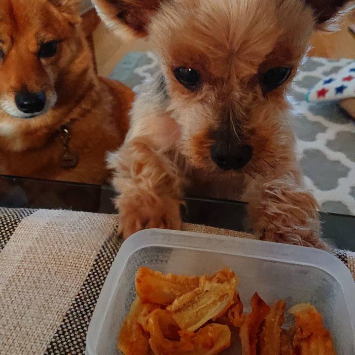 C5c93fea 4191 423e b0af 8f9f9559b336 1558679519383