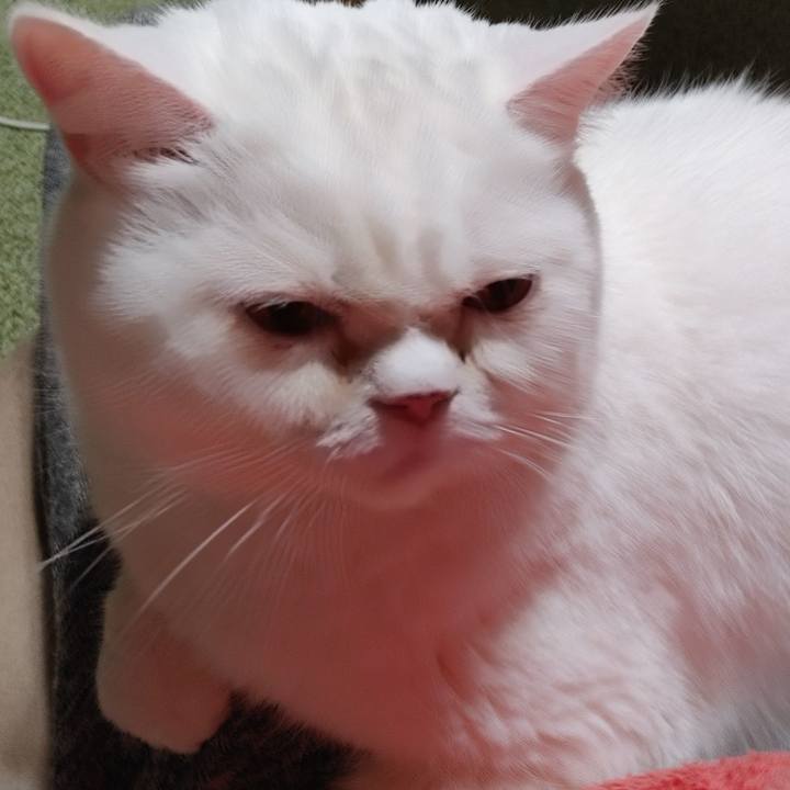 C5c94fdf 80bb 41b0 922c 905fd821ef69 1674219477419