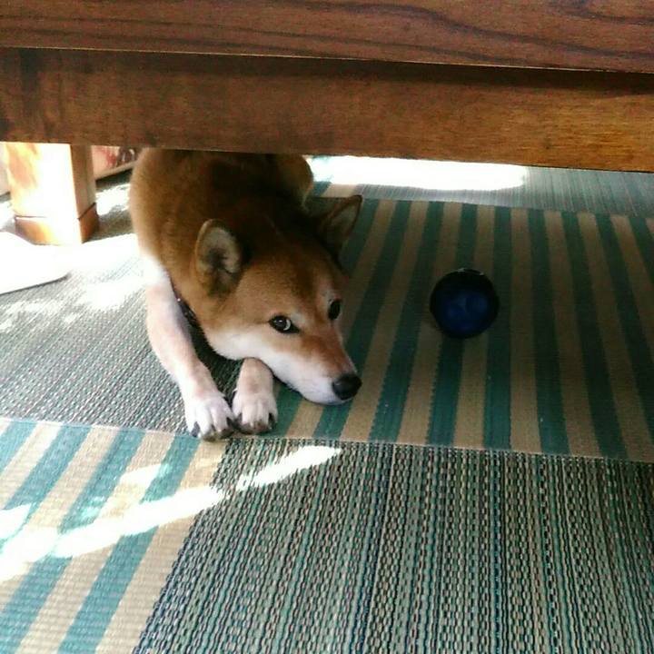 C5c96108 ed6c 4564 85c3 705064db5ce2 1569889438750