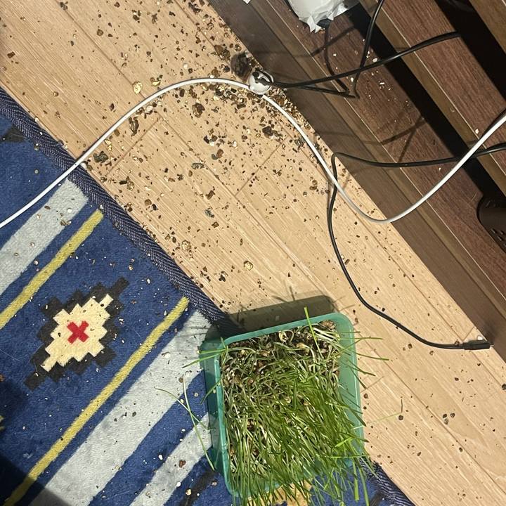 C5c9b022 54c3 4080 8b0a c2f0caad87a9 1629541463570