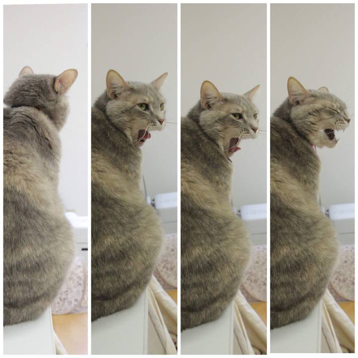 C5c9caa1 1c48 4525 864e fc7c7cbc09be 1580440185996