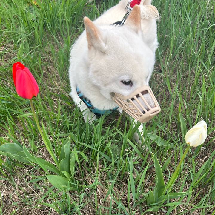 C5c9ddd1 6dd3 4566 93ae ab09446e0cc5 1683580362599