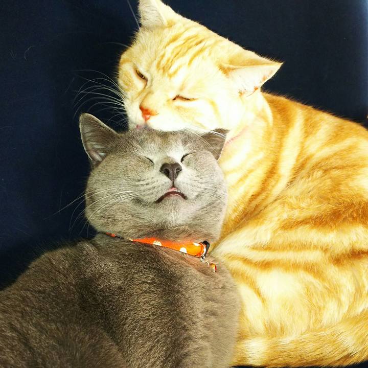 C5c9f97e 4f9f 47f8 939e 52fc565379e9 1516774465731