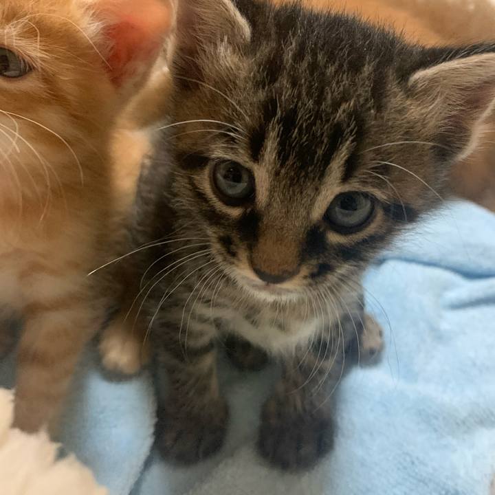 C5ca08ce 2805 4473 9b8c ec6b7927ff69 1570667933592