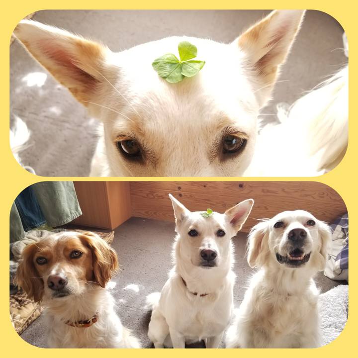 C5ca1e27 da8d 4d87 ac4d 860c5e8cf329 1617150515114