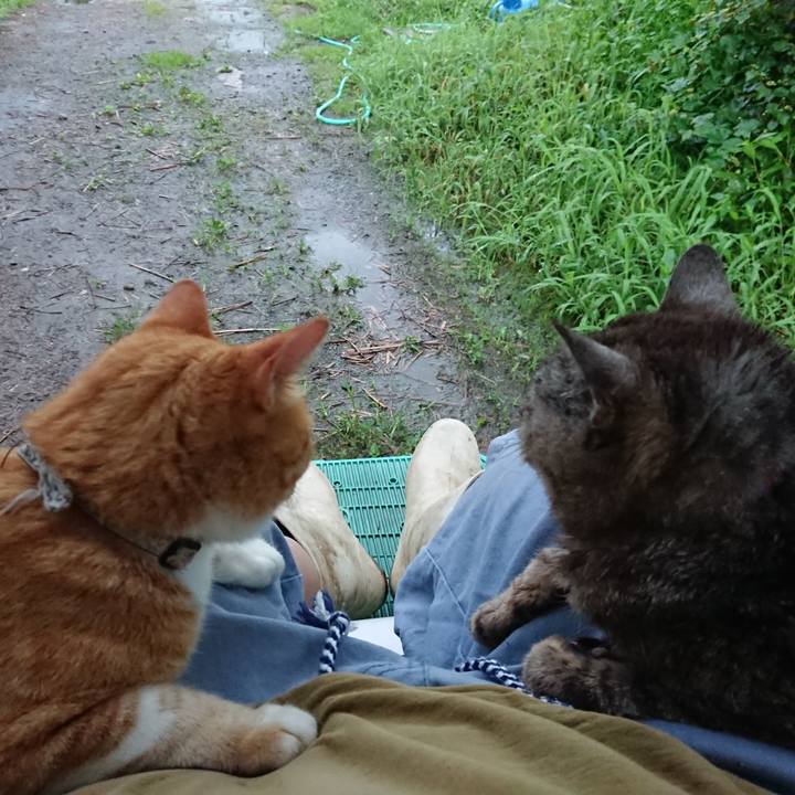 C5ca3fa3 161e 417a afd1 2bfdf2b6e513 1597179678645