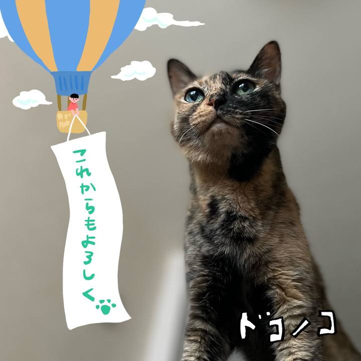 C5ca6559 1819 4f1b ba91 323235794abe 1685970504313