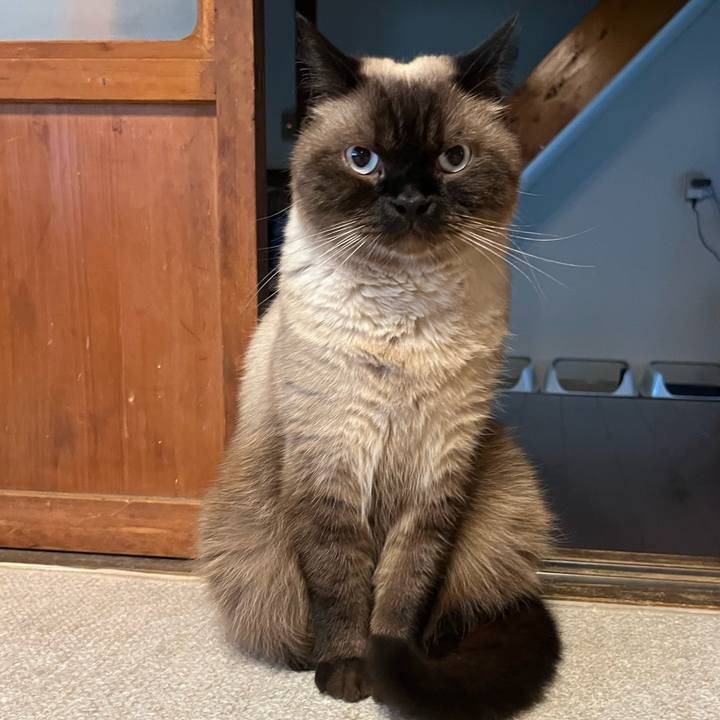 C5ca72f9 14ac 4d91 8944 0d472f8aec4e 1724465874839