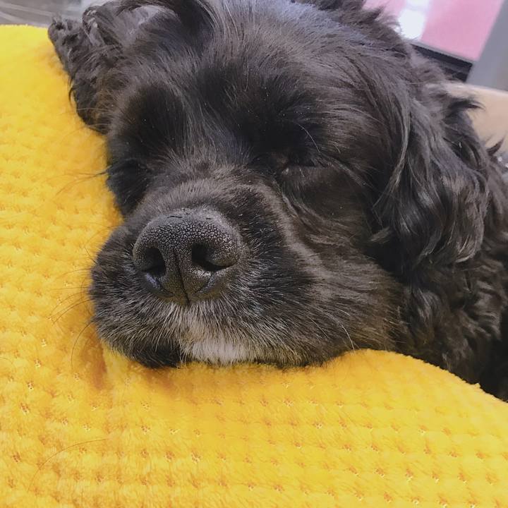 C5ca81b9 2c08 41b5 bd5b ec2ceab29df8 1538195537563