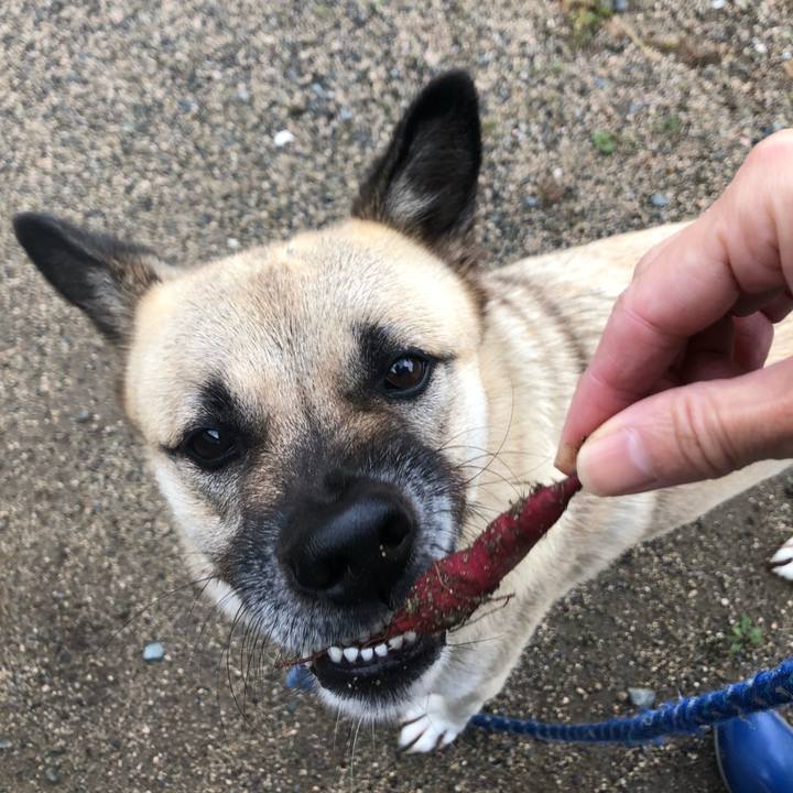 C5ca98bf 284c 4b0f a46f 86357cfc1cf2 1603452000695